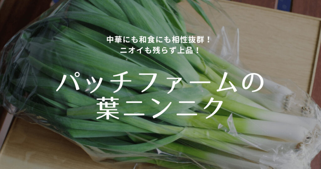 バッチさん専用行者ニンニク Amazon | パワーガーリックEX 60粒 | パワーガーリック