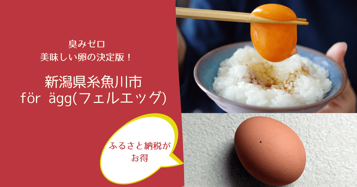 有精卵 有精卵(6個パック) | 卵（有精卵ほか） | |下郷農協オンライン