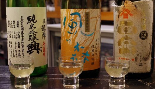 エッジが凄い。大阪で熟成酒の魅力を伝える日本酒バー！心斎橋「日名田」