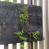 きたうら善漁看板