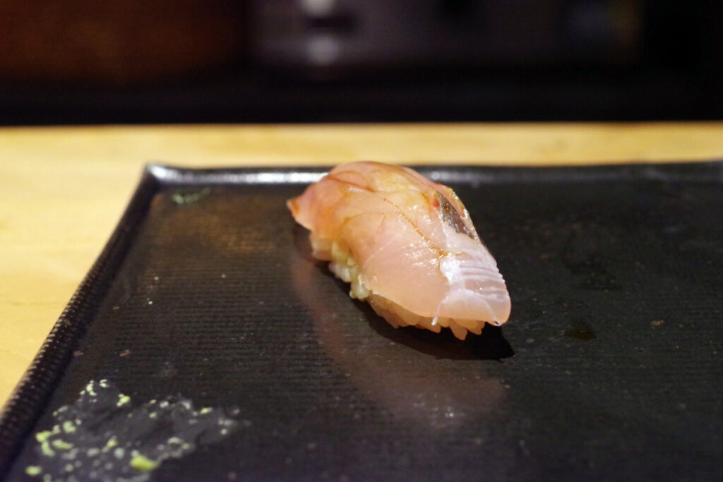 縞鯵