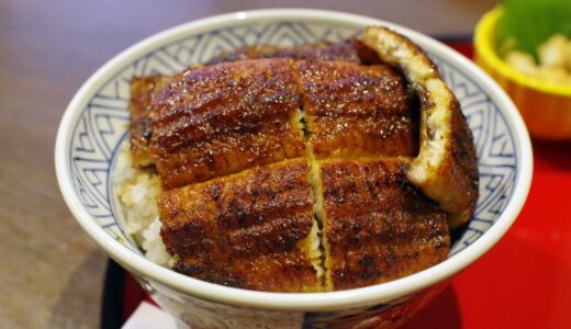 名古屋を代表するダイナミックな鰻丼！鶴舞「炭焼うな富士」