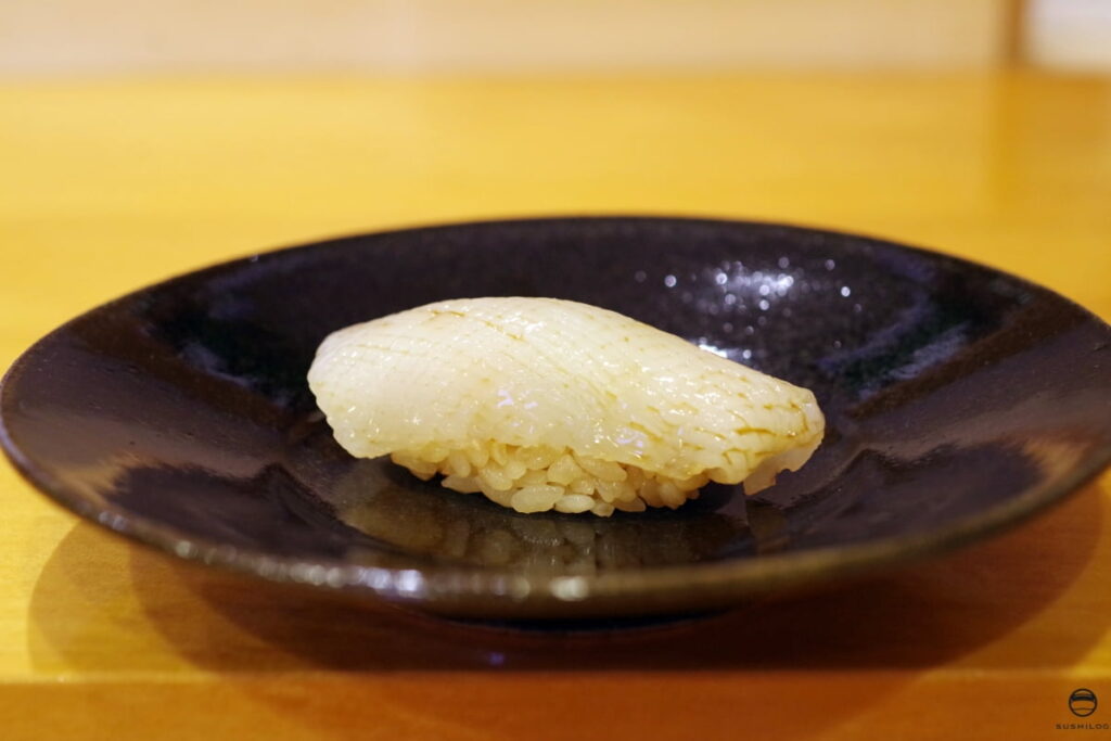 アオリイカ
