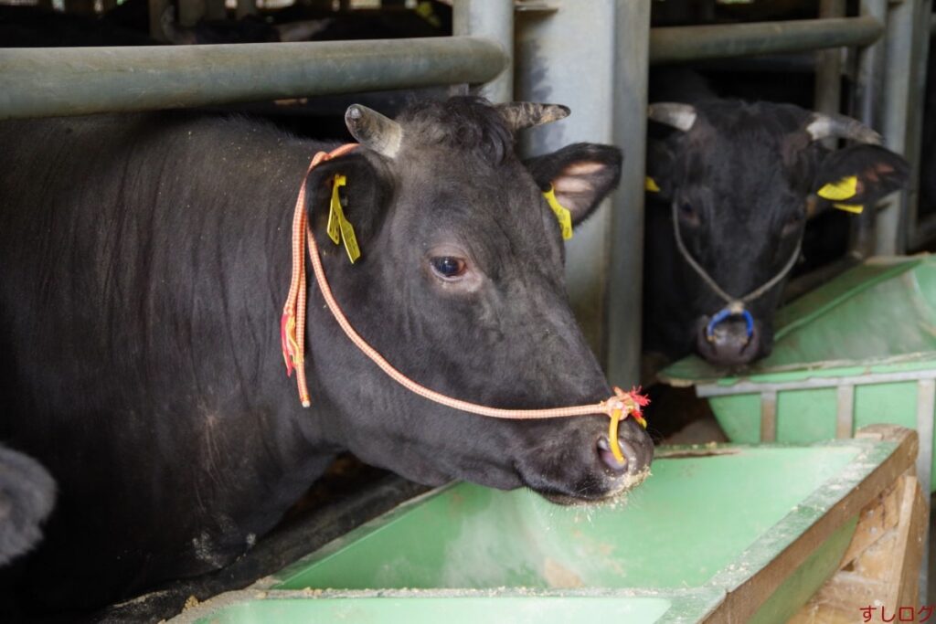 ☆牛画面☆ 56beda7e346757b77e79e80c28daaf