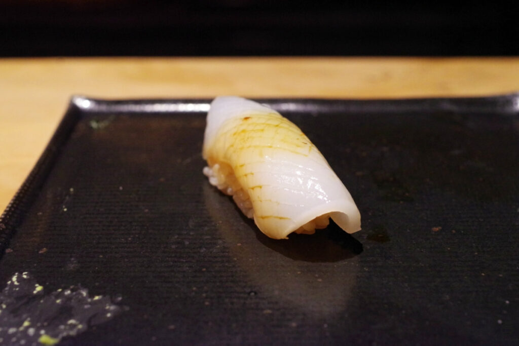 アオリイカ