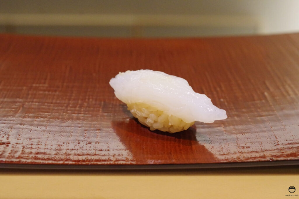 アオリイカ