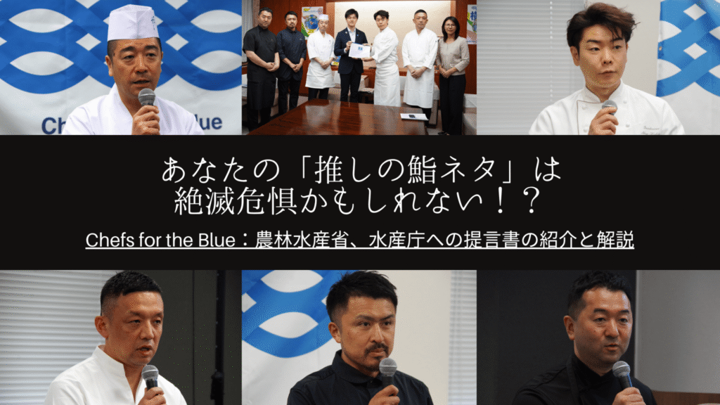 提言書アイキャッチ