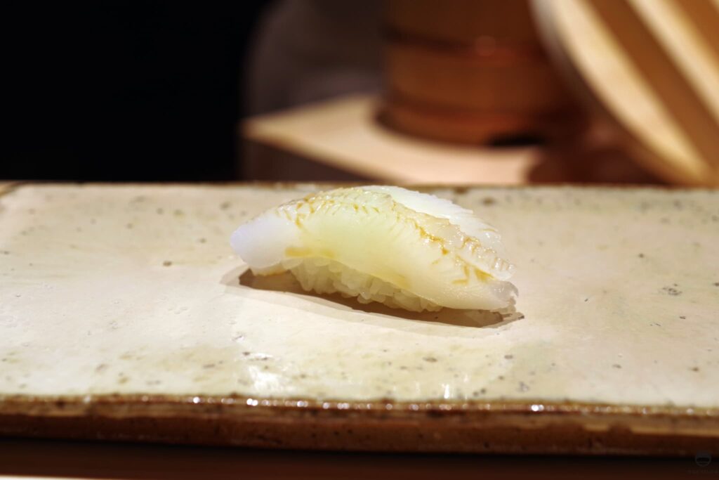 アオリイカ