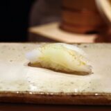 アオリイカ