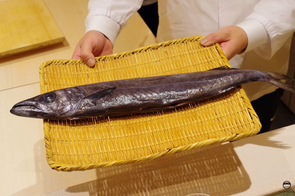 クロシビカマス