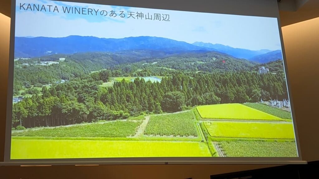 畑
